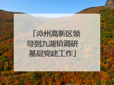 漳州高新区领导到九湖镇调研基层党建工作
